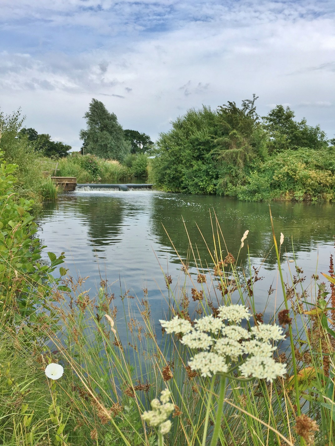 River Rother – Leconfield Fly Fishing Club