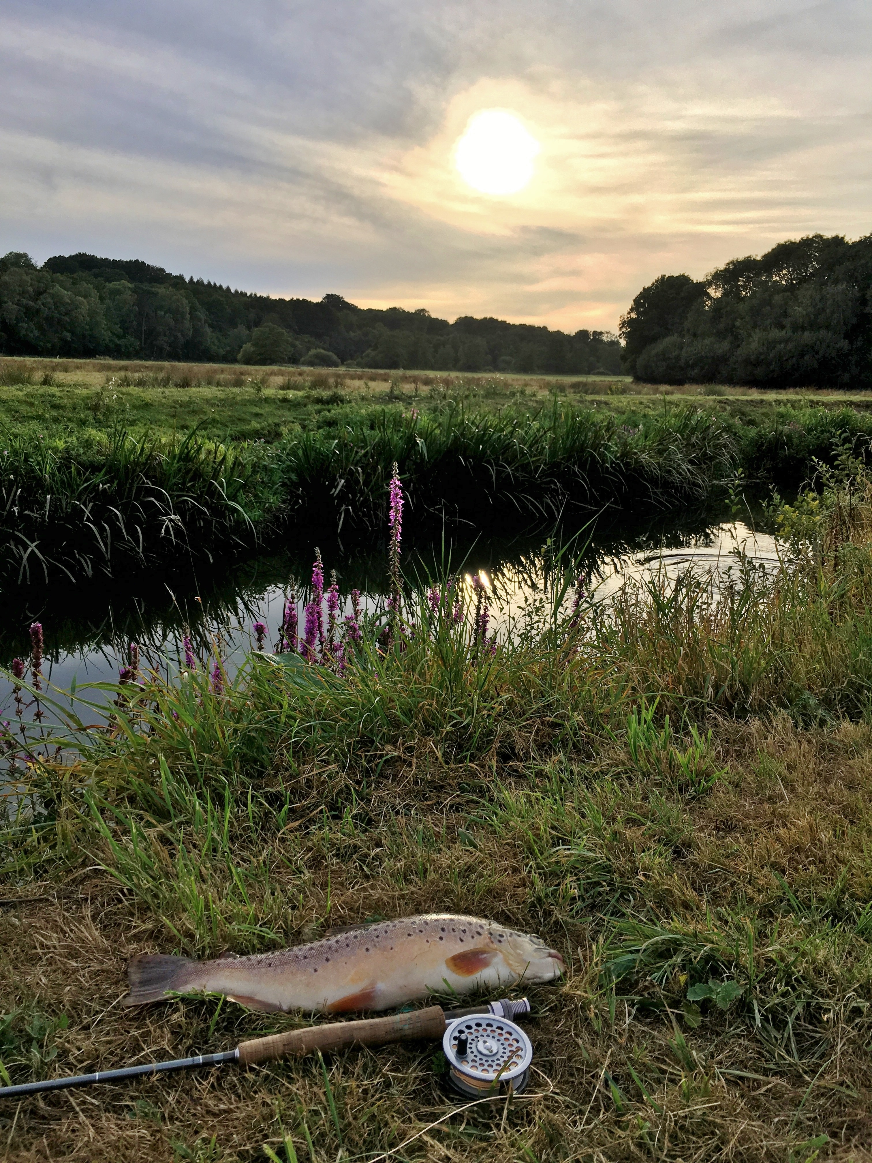 River Rothay Fishing River Rother – Leconfield Fly Fishing Club